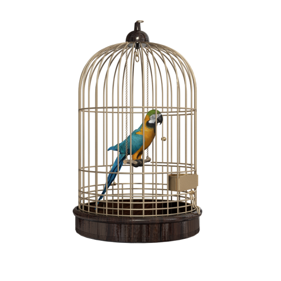 Cage For A Parrot